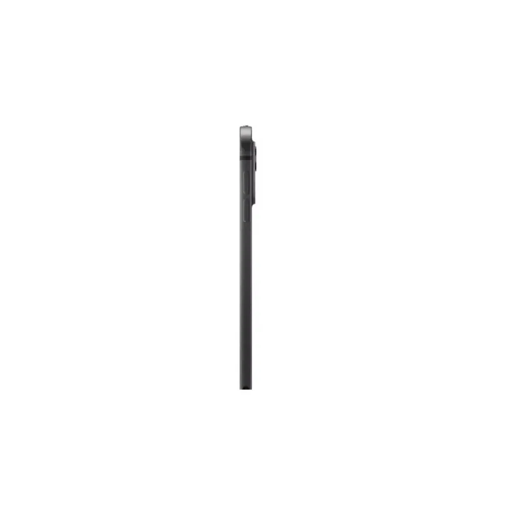 iPad Pro 11" (M4) 256Go - Noir 4