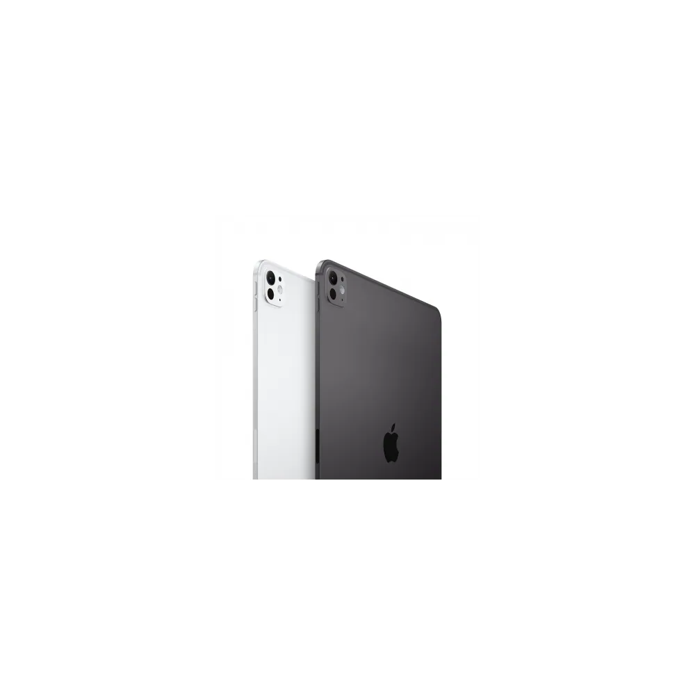 iPad Pro 13" M4 WiFi Cellular 256GB with Standard glass -Silver 4