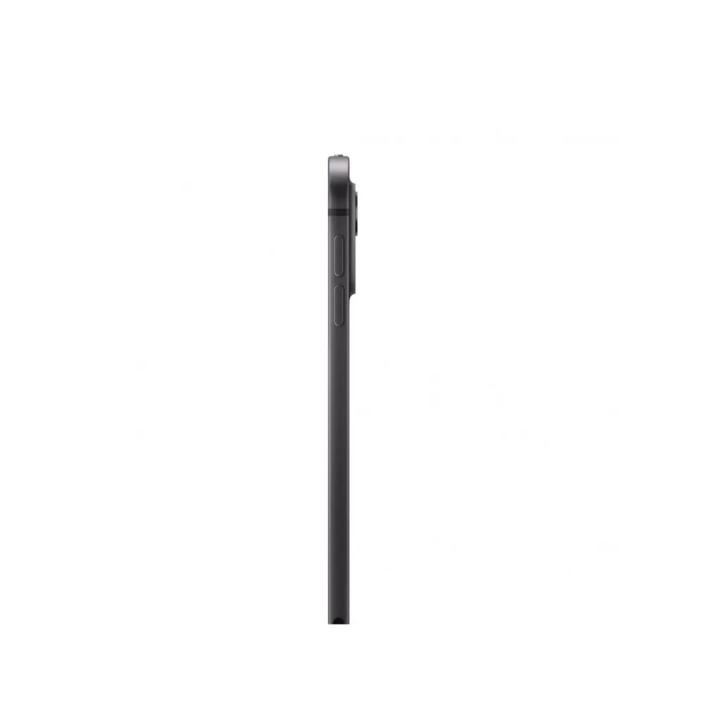 iPad Pro 11" M4 Wi-Fi + Cellular 256Go Standard glass - Space Black 4